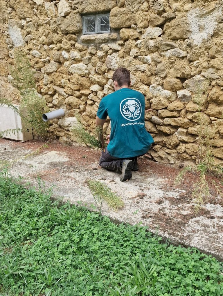Entretien des jardins sur Auch et sa région