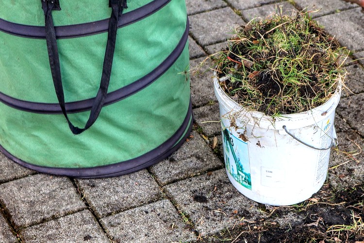 Le désherbage par les Moutons Verts