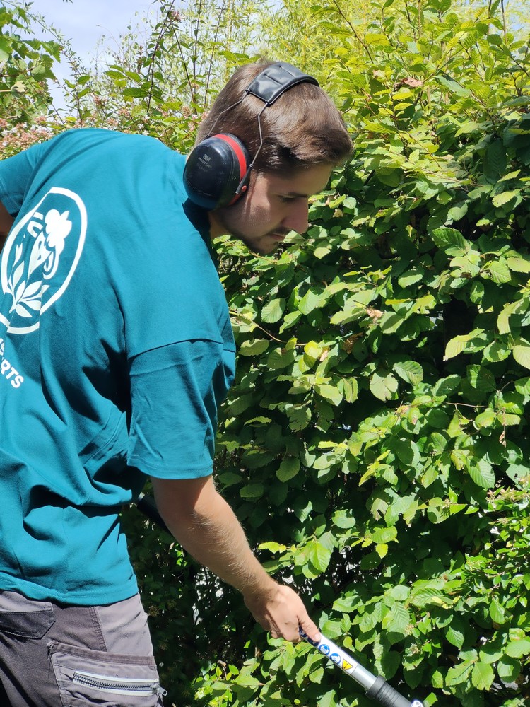 Les Moutons Verts une équipe à votre service.