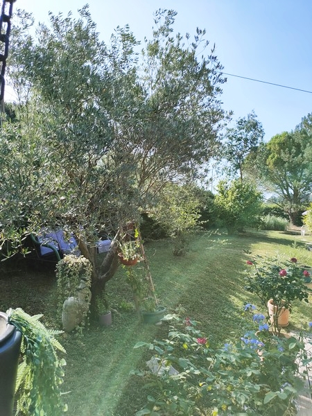 Entretien de vos espaces extérieur