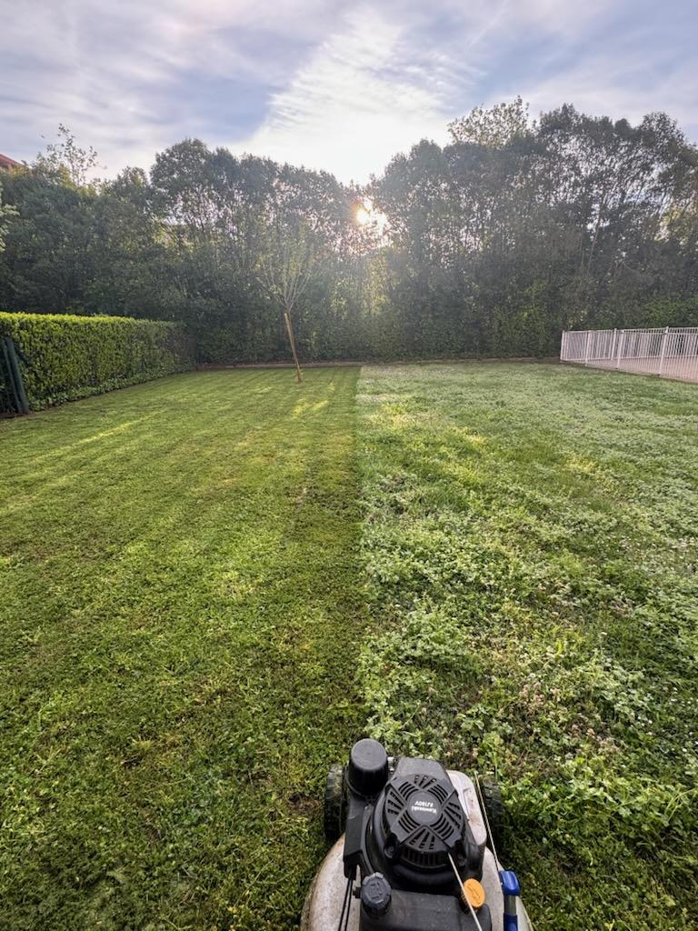 entretien des espaces verts par les Moutons Verts