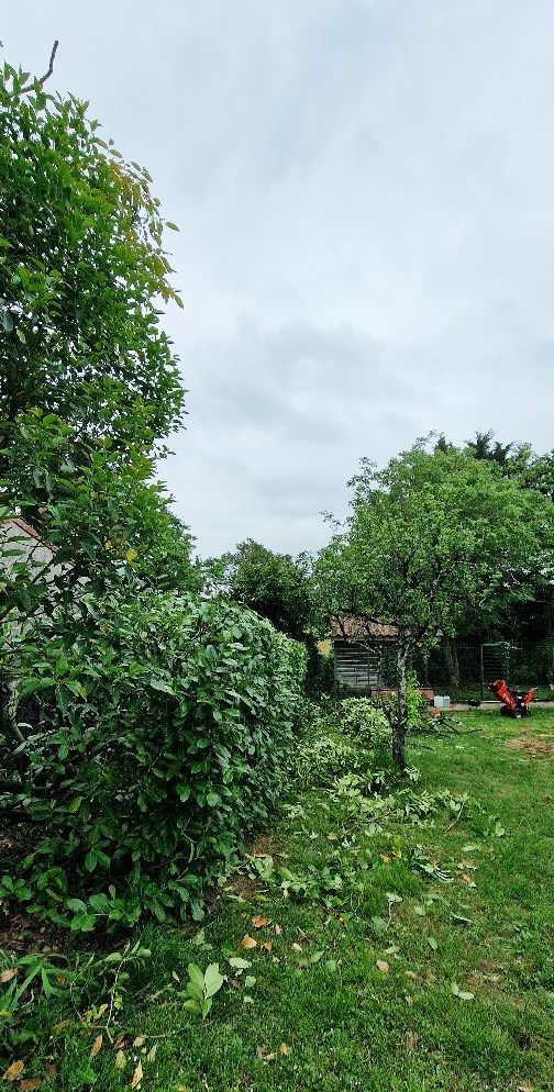Entretien de votre jardin