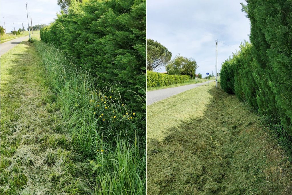 Intervention extérieure par les Moutons Verts